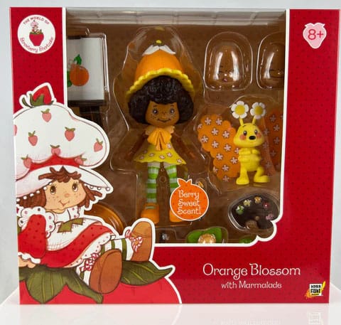 Strawberry Shortcake Action Figure wave 1