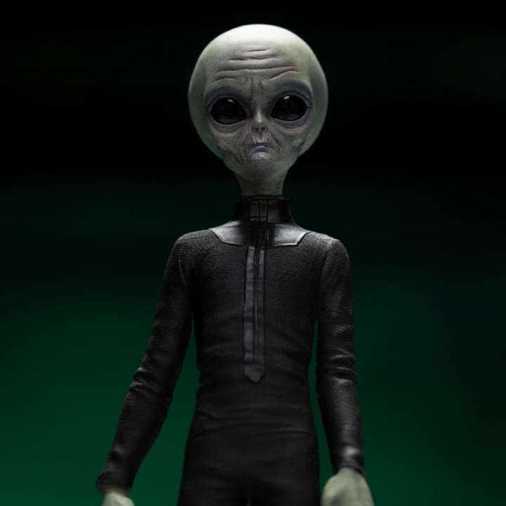 I want to Believe Art Scale Statue 1/10 Alien Grey 21 cm