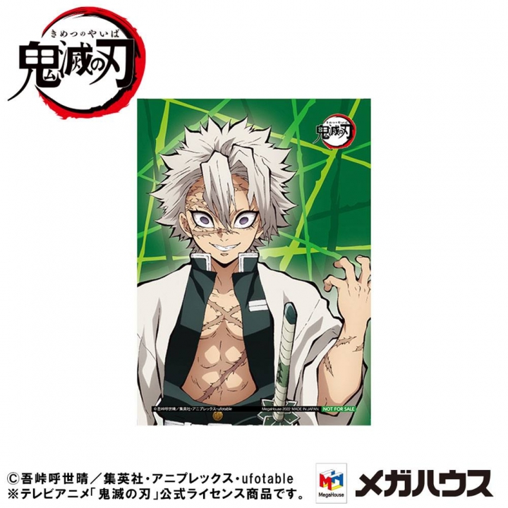 Demon Slayer Kimetsu no Yaiba G.E.M. PVC Statue Shinazugawa-san Palm Size Special Edition 9 cm