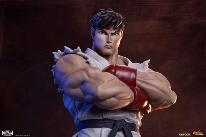 Street Fighter PVC Statues 1/10 Ryu & Dan 18 cm