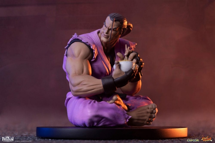 Street Fighter PVC Statues 1/10 Ryu & Dan 18 cm