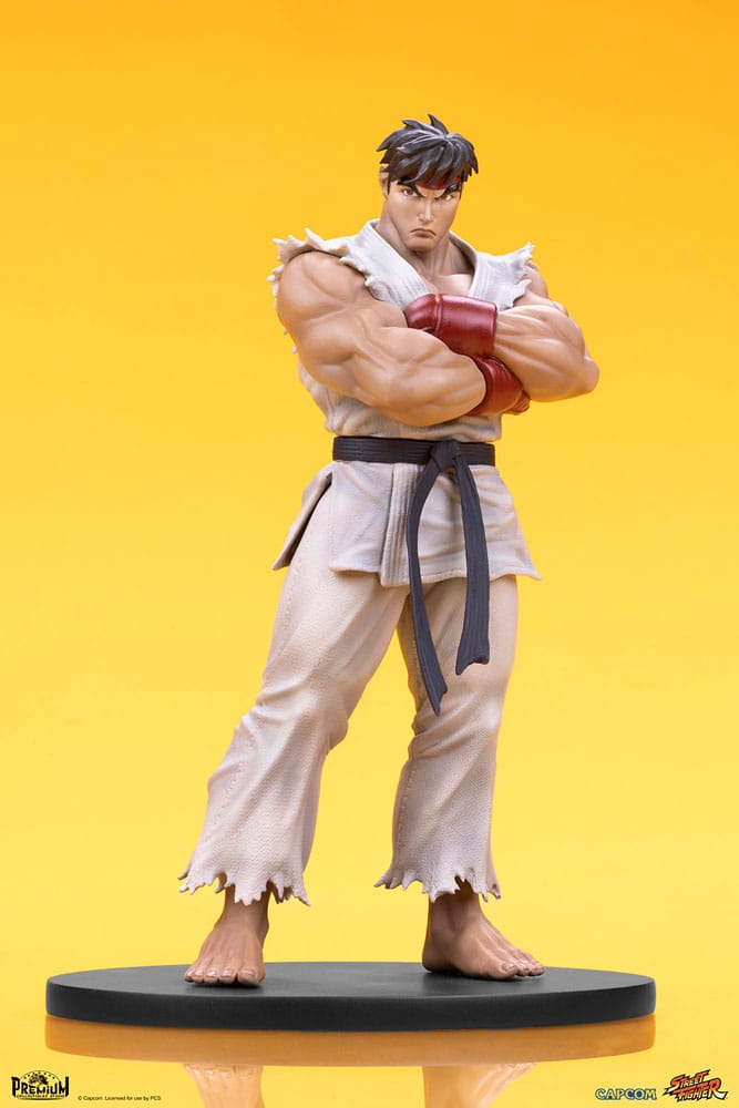 Street Fighter PVC Statues 1/10 Ryu & Dan 18 cm