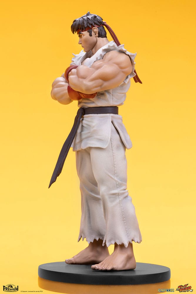 Street Fighter PVC Statues 1/10 Ryu & Dan 18 cm