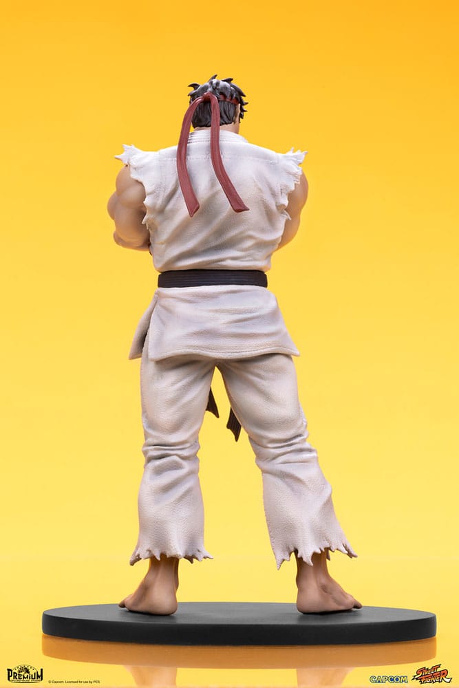 Street Fighter PVC Statues 1/10 Ryu & Dan 18 cm