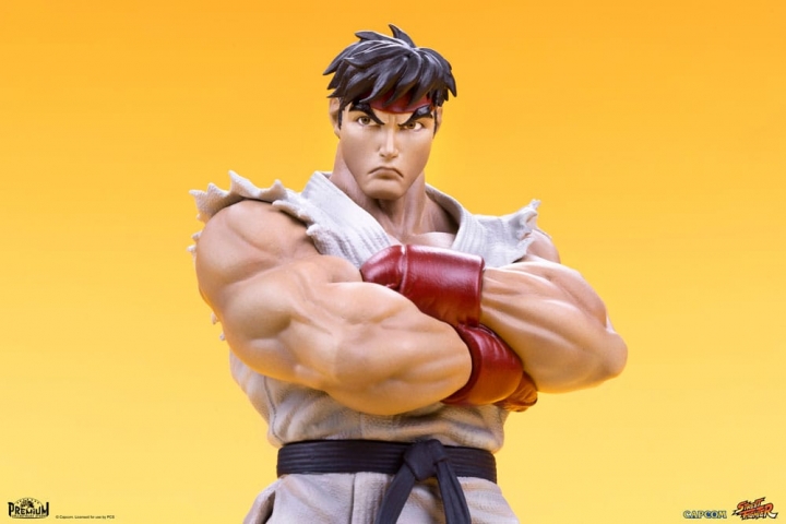 Street Fighter PVC Statues 1/10 Ryu & Dan 18 cm