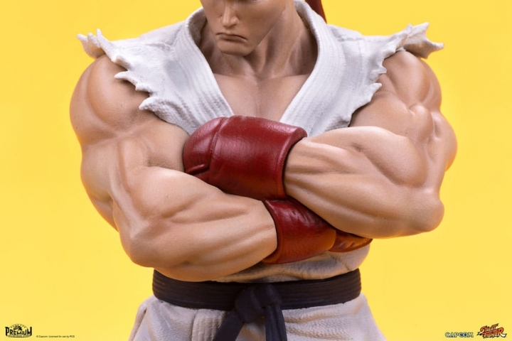 Street Fighter PVC Statues 1/10 Ryu & Dan 18 cm