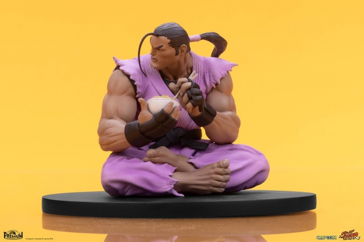 Street Fighter PVC Statues 1/10 Ryu & Dan 18 cm