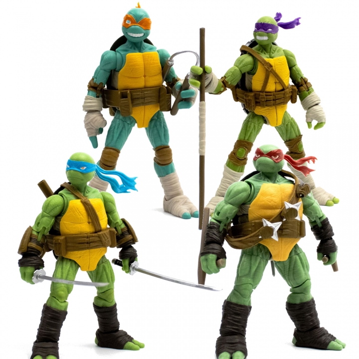 Teenage Mutant Ninja Turtles BST AXN Action Figure IDW Comics 13 cm