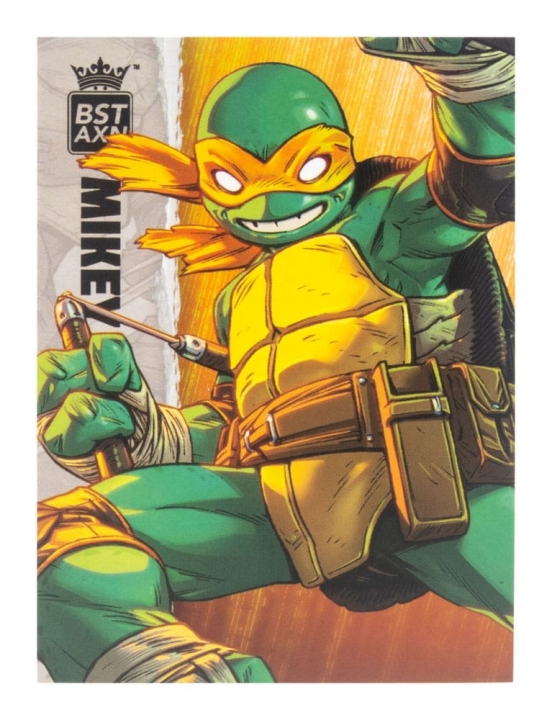 Teenage Mutant Ninja Turtles BST AXN Action Figure IDW Comics 13 cm