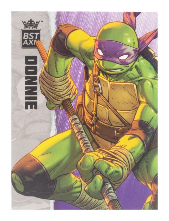 Teenage Mutant Ninja Turtles BST AXN Action Figure IDW Comics 13 cm