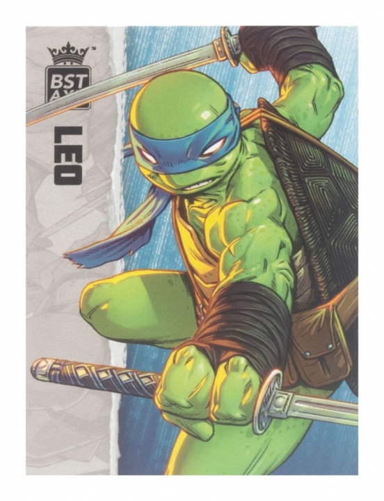 Teenage Mutant Ninja Turtles BST AXN Action Figure IDW Comics 13 cm