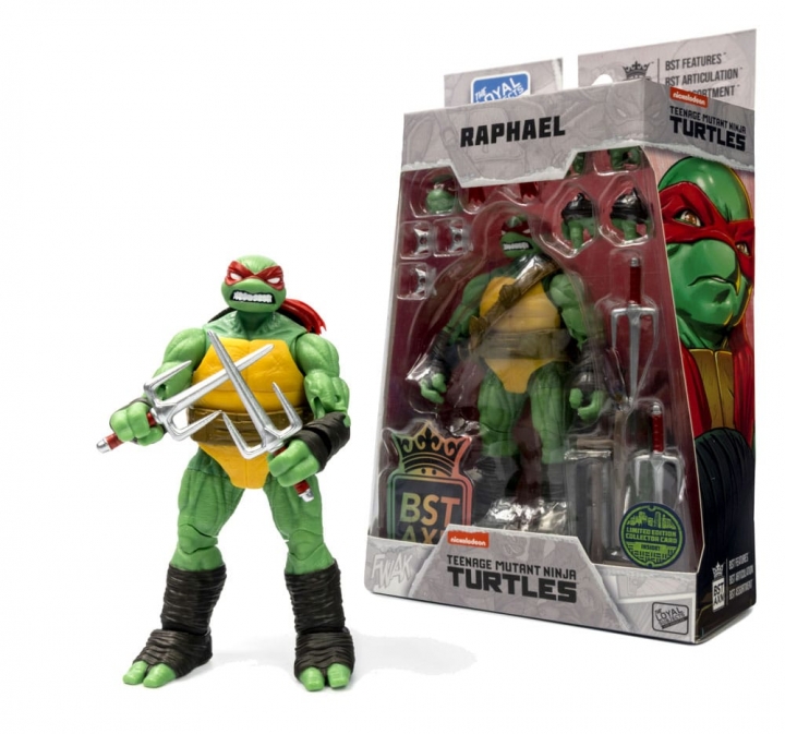 Teenage Mutant Ninja Turtles BST AXN Action Figure IDW Comics 13 cm