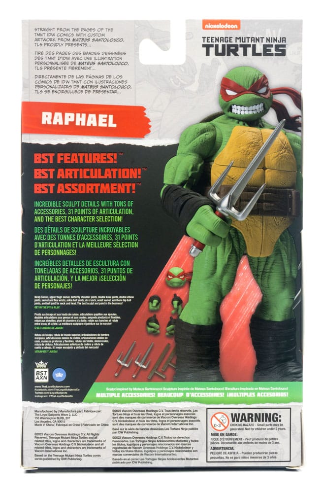 Teenage Mutant Ninja Turtles BST AXN Action Figure IDW Comics 13 cm