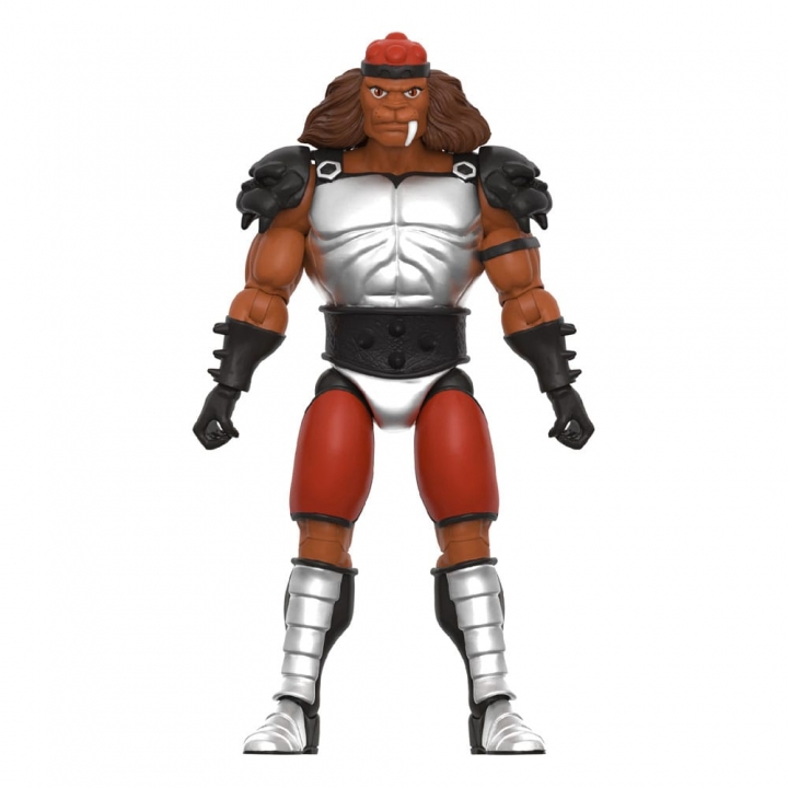 Thundercats Ultimates Action Figure Wave 9 20 cm